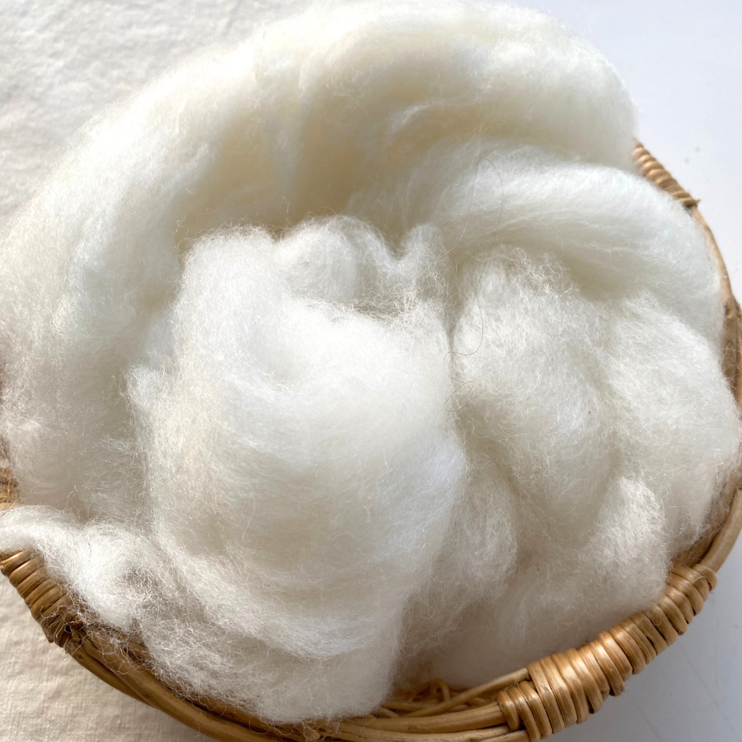 Carded Sheeps Wool (stuffing)